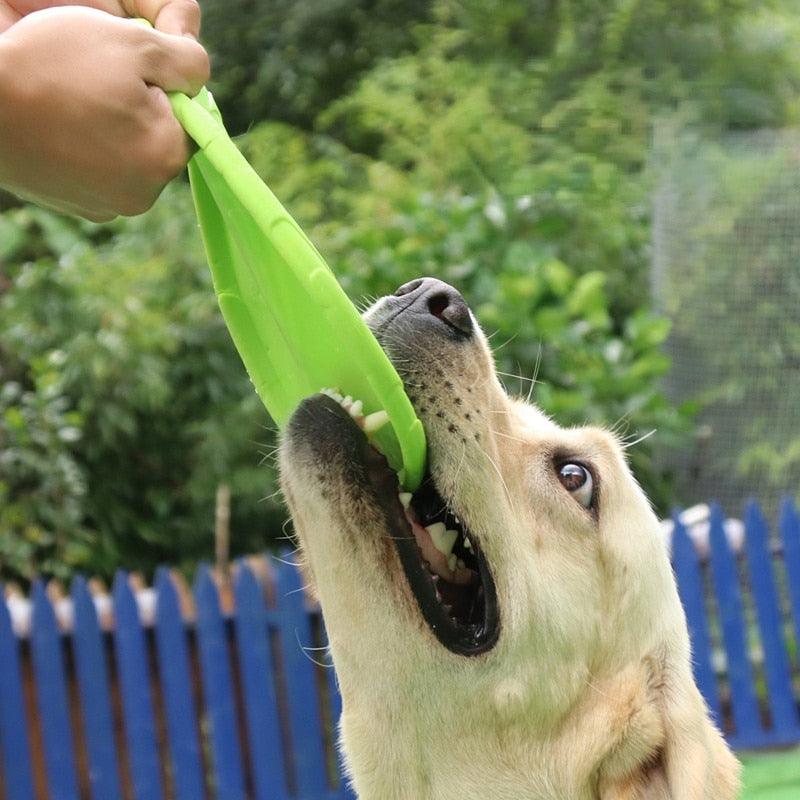 Disco arremessável para Cão