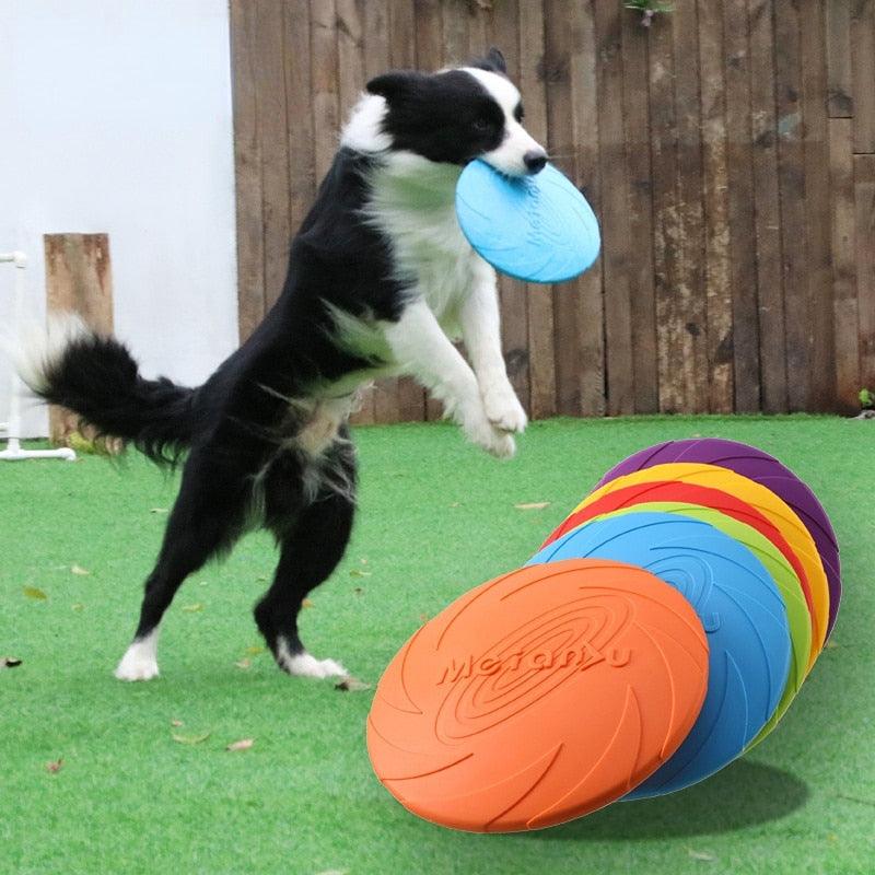 Disco arremessável para Cão